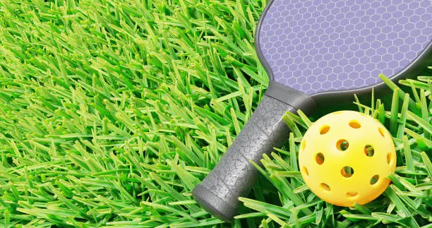 carbon fiber pickleball paddle